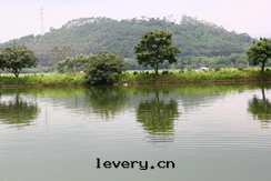 初夏乡村(cūn)农家(jiā)乐(lè)148.png 初夏乡村(cūn)农家(jiā)乐(lè)148.png