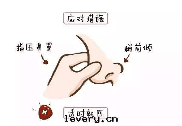 最(zuì)困擾司機(jī)的(de)10个(gè)发動(dòng)機(jī)保養問(wèn)題(tí)，你懂幾(jǐ)个(gè)？